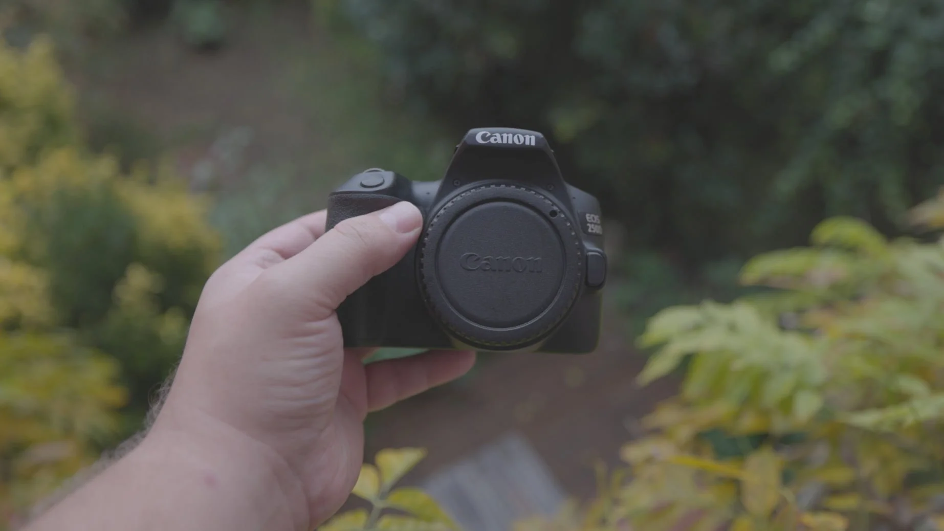 キヤノンEOS 250D。このカメラは本当に価値があるのか？ — SKYES Media